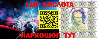 ГАЛЛЮЦИНОГЕННЫЕ ГРИБЫ Кандалакша