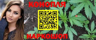 ГАЛЛЮЦИНОГЕННЫЕ ГРИБЫ Кандалакша