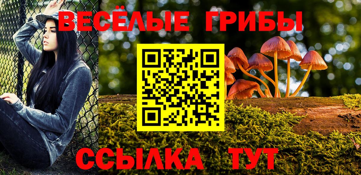 Псилоцибиновые грибы Psilocybe  Вход с VPN  Ливны 